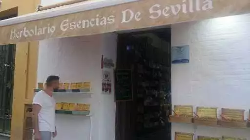 Hypertea en Sevilla: Descubre los mejores lugares para probar té