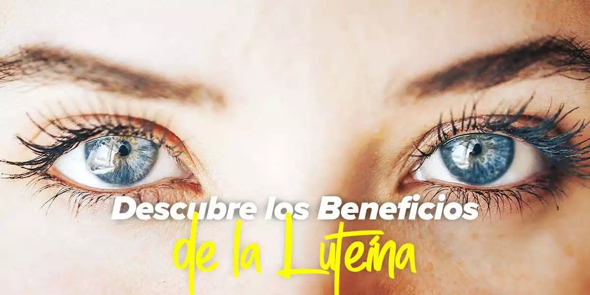 Ocuvit en Con: Beneficios para la salud ocular