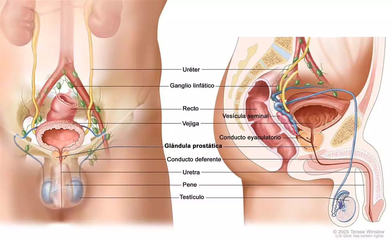 Prostamin en España: ¿Funciona realmente para la salud de la próstata?