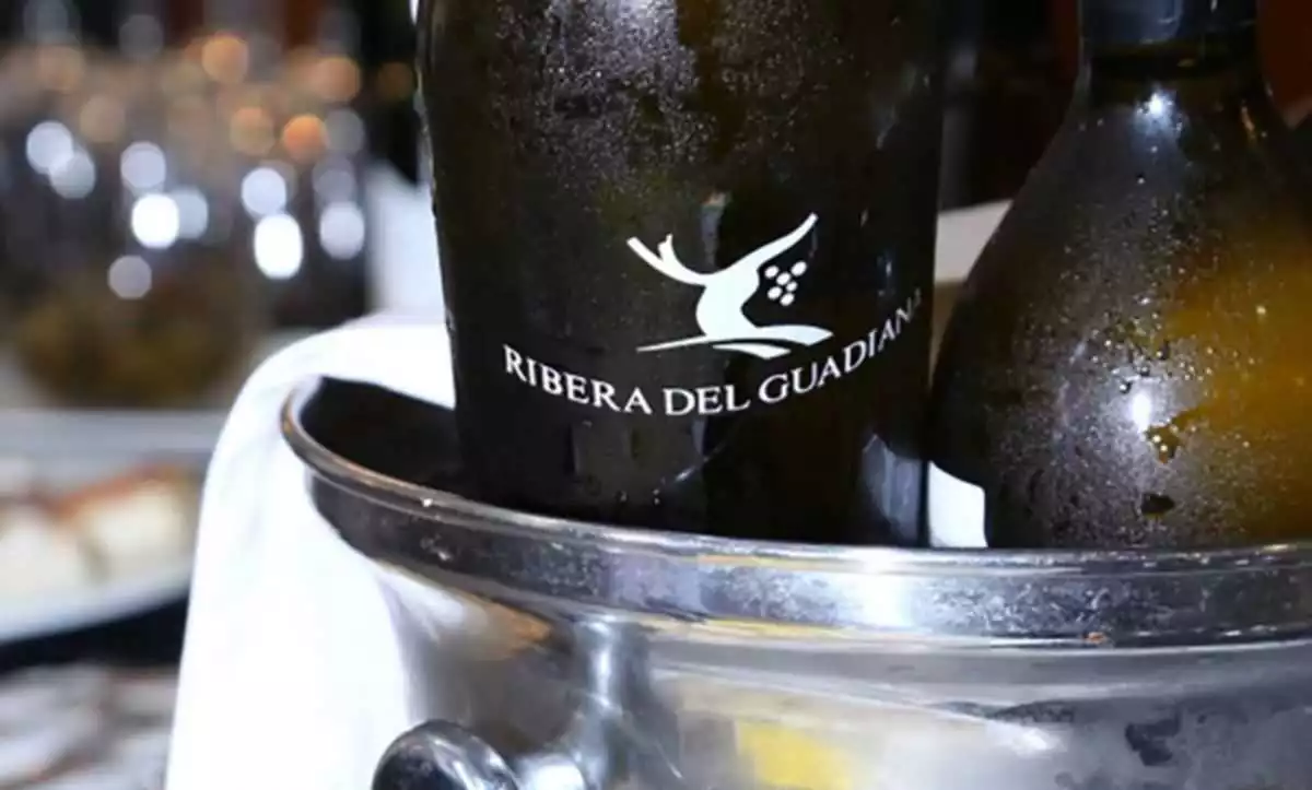 Sasparin en Cáceres – Descubre todo sobre esta bebida típica extremeña